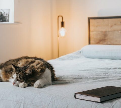 Consigli per dormire bene con la CPAP